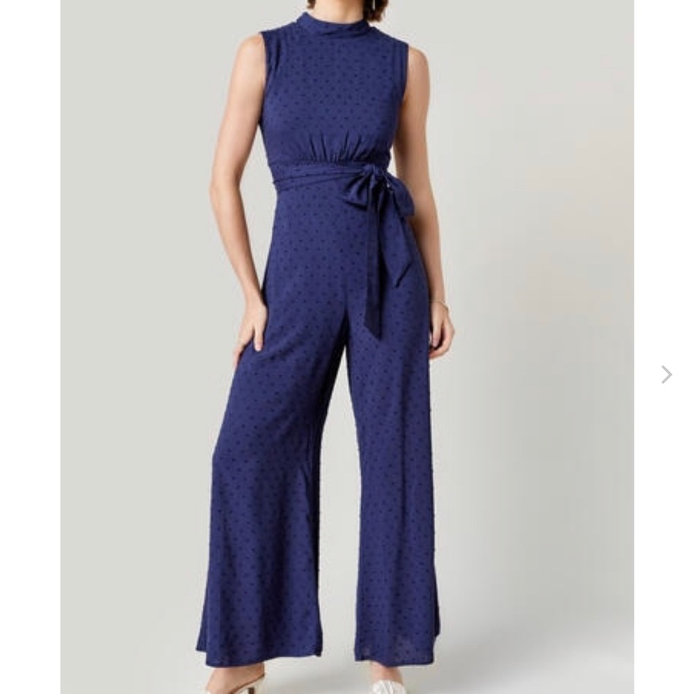 Francesca’s jumpsuit